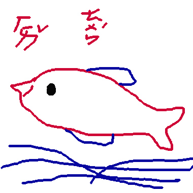 海豚