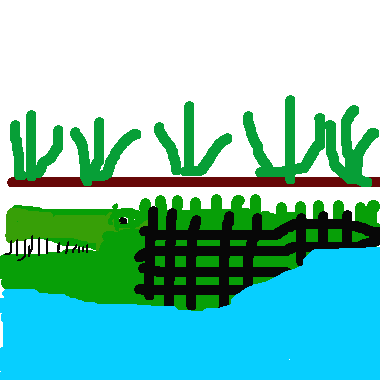 鱷魚