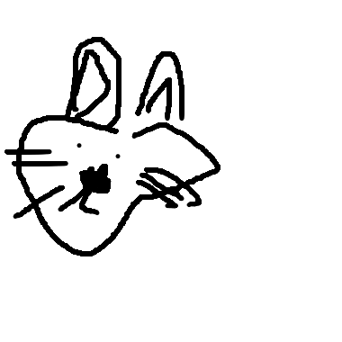 作品：兔子