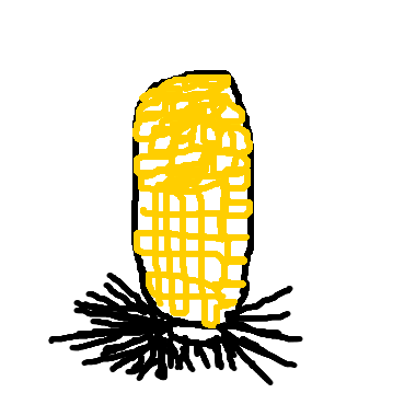 作品：玉米頭