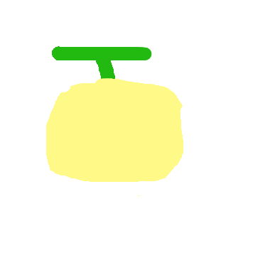 柚子