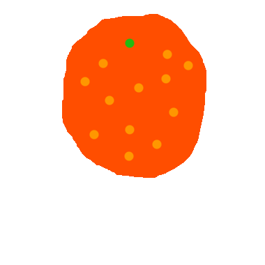 作品：橙子