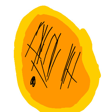 一顆芒果