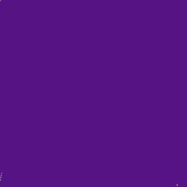 紫色的海