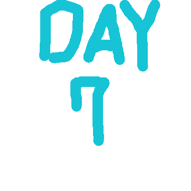 Day 7