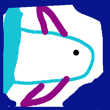 魚