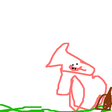 小豬