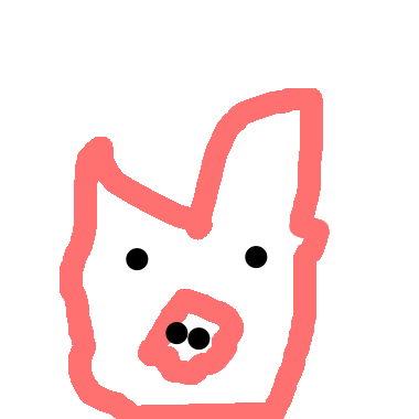 豬豬