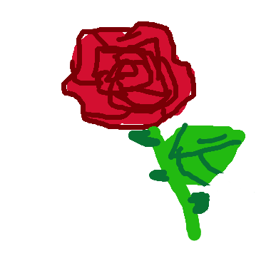 rose