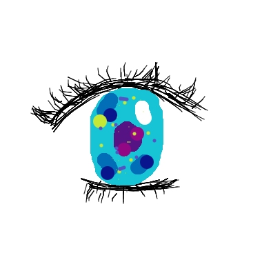 Eye