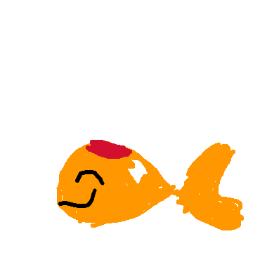 小金魚