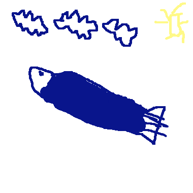 鯊魚