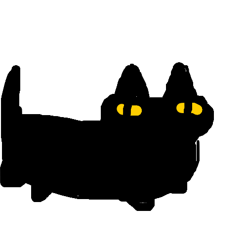 黑猫