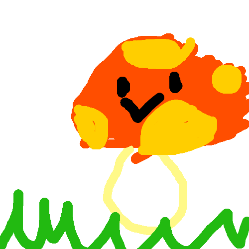 香菇