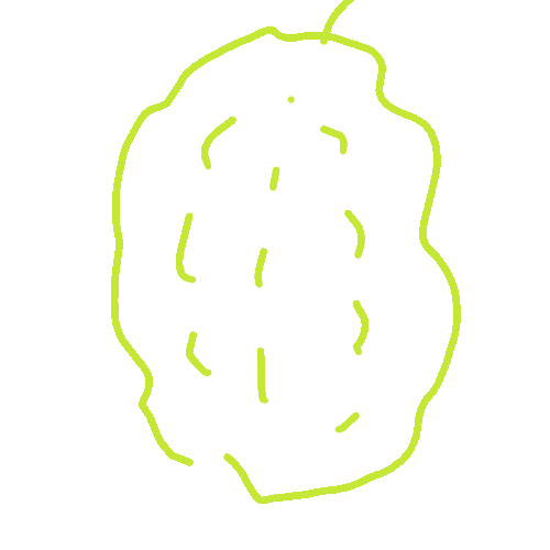 苦瓜