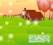蒲公英