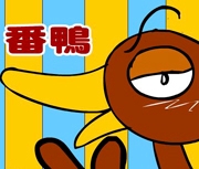 番鴨