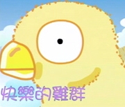 快樂的雞群